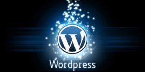 WordPress ecommerce company ecommerce web-design ecommerce solutions ecommerce development